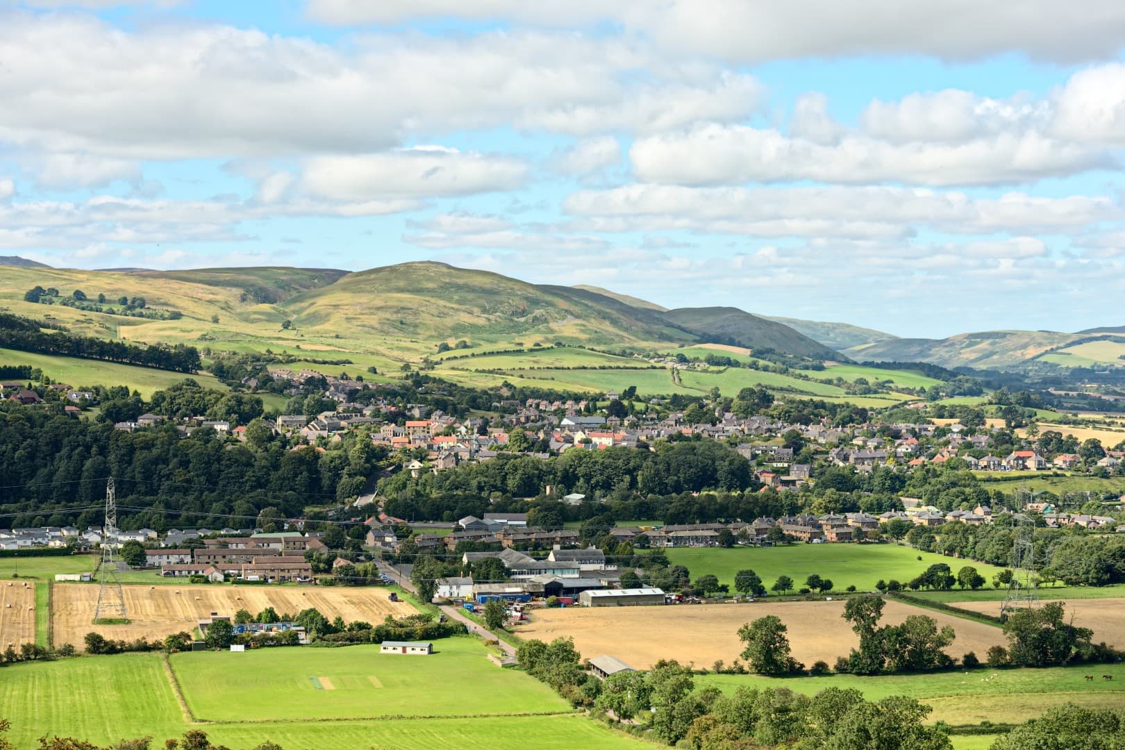Wooler